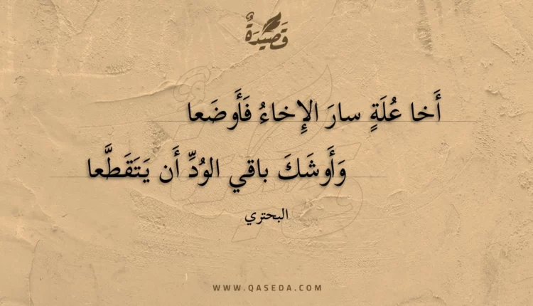 قصيدة أخا علة سار الإخاء فأوضعا