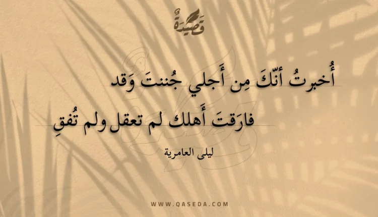 قصيدة أخبرت أنك من أجلي جننت وقد