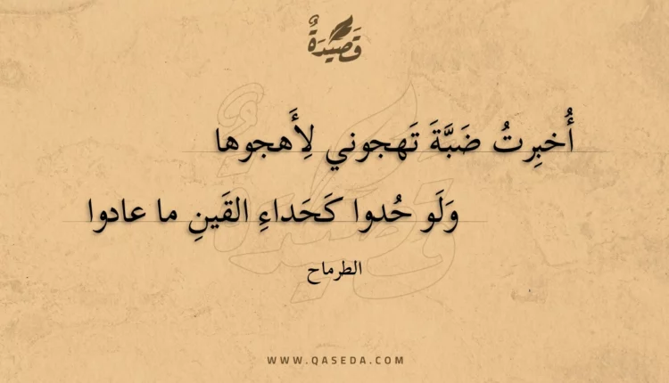 قصيدة أخبرت ضبة تهجوني لأهجوها