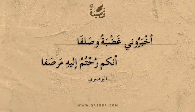 قصيدة أخبروني غضبة وصلفا