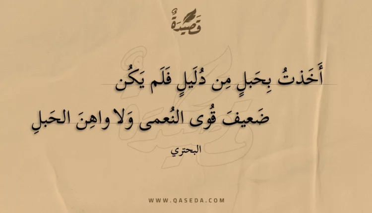 قصيدة أخذت بحبل من دليل فلم يكن