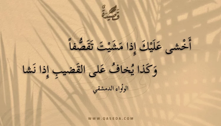 قصيدة أخشى عليك إذا مشيت تقصفا