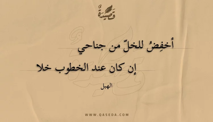 قصيدة أخفض للخل من جناحي