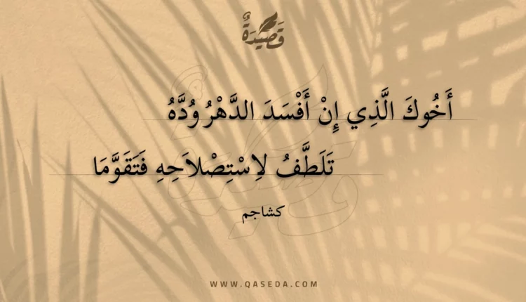 قصيدة أخوك الذي إن أفسد الدهر وده