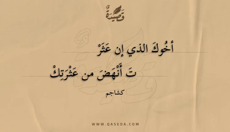 قصيدة أخوك الذي إن عثرت