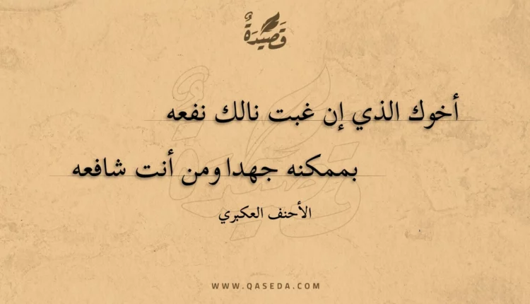 قصيدة أخوك الذي إن غبت نالك نفعه