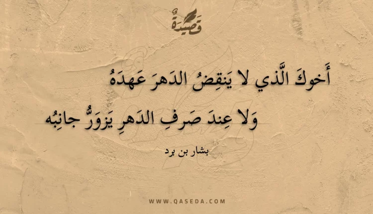 قصيدة أخوك الذي لا ينقض الدهر عهده
