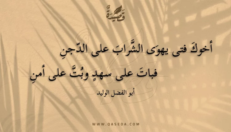 قصيدة أخوك فتى يهوى الشراب على الدجن