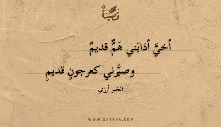 قصيدة أخي أذابني هم قديم