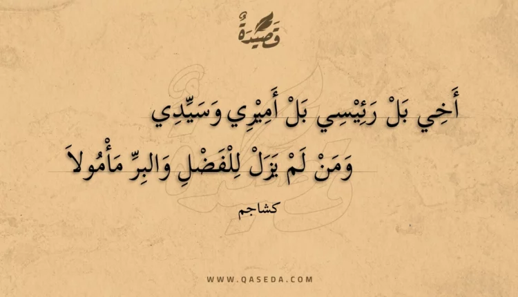 قصيدة أخي بل رئيسي بل أميري وسيدي