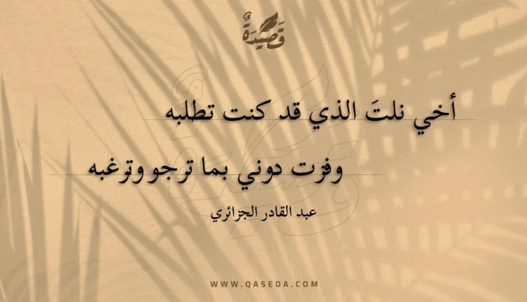 قصيدة أخي نلت الذي قد كنت تطلبه