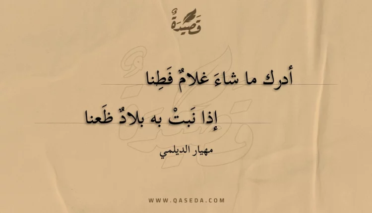 قصيدة أدرك ما شاء غلام فطنا