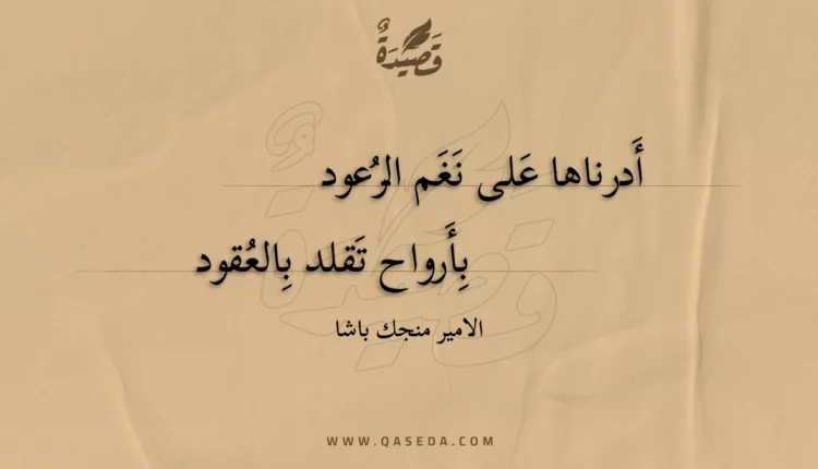 قصيدة أدرناها على نغم الرعود