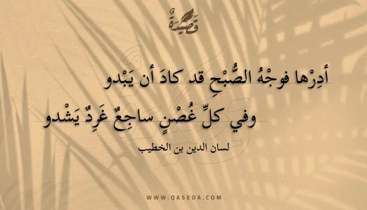 قصيدة أدرها فوجه الصبح قد كاد أن يبدو