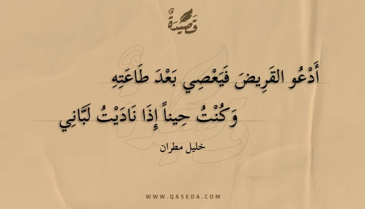 قصيدة أدعو القريض فيعصي بعد طاعته
