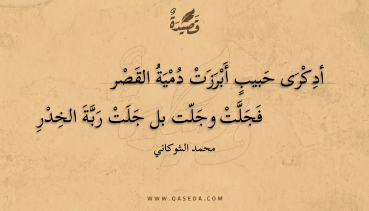 قصيدة أدكرى حبيب أبرزت دمية القصر