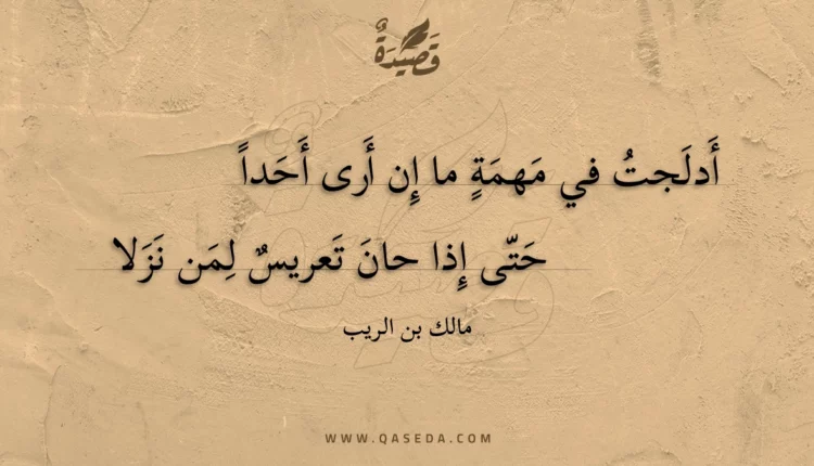 قصيدة أدلجت في مهمة ما إن أرى أحدا