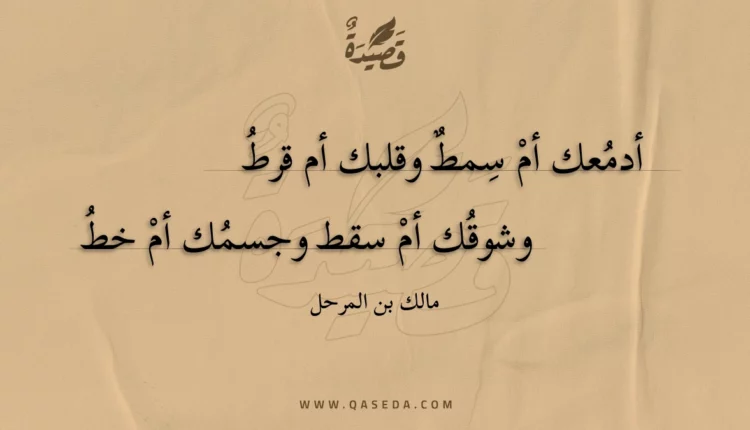 قصيدة أدمعك أم سمط وقلبك أم قرط