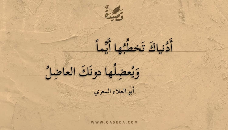 قصيدة أدنياك تخطبها أيما
