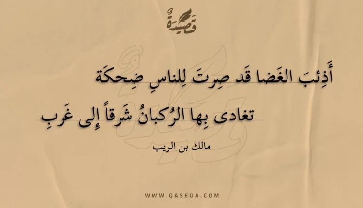 قصيدة أذئب الغضا قد صرت للناس ضحكة