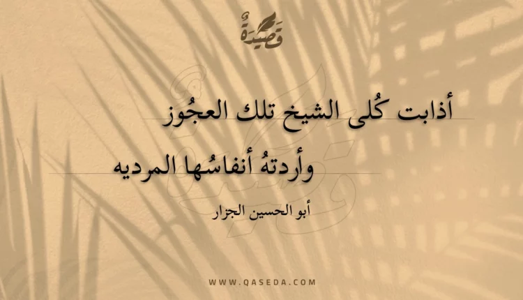 قصيدة أذابت كلى الشيخ تلك العجوز