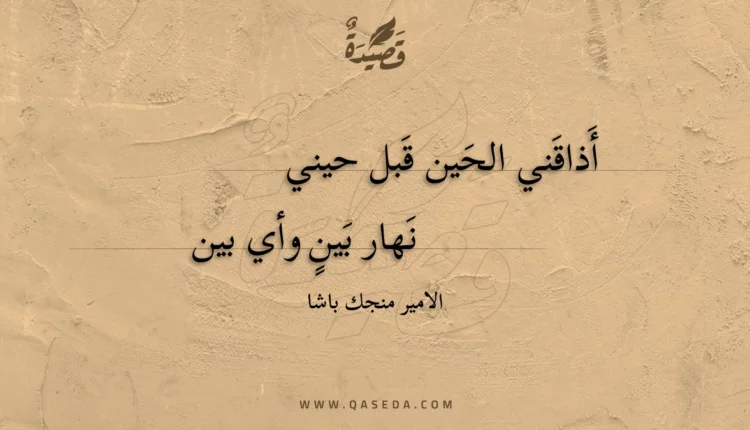 قصيدة أذاقني الحين قبل حيني