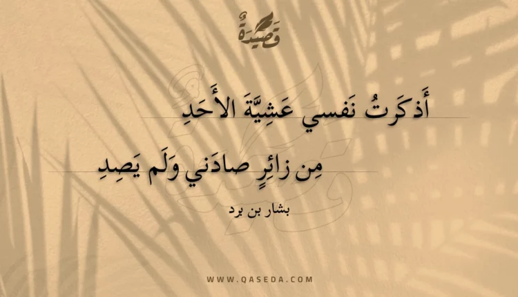 قصيدة أذكرت نفسي عشية الأحد
