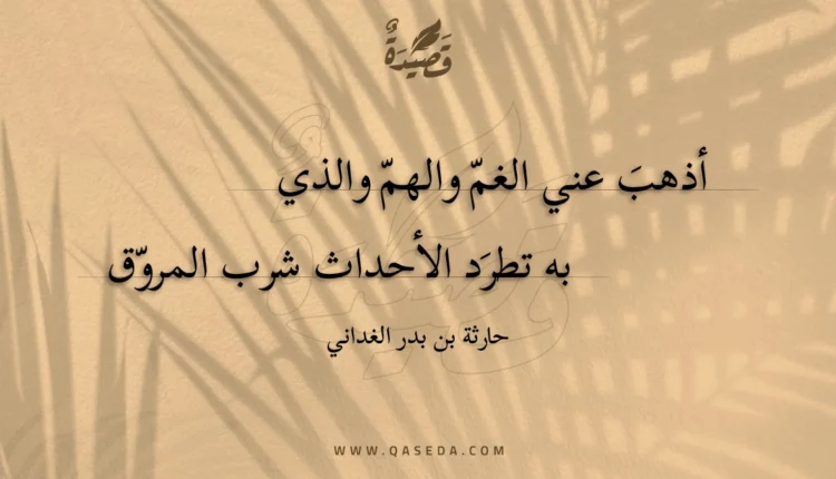 قصيدة أذهب عني الغم والهم والذي