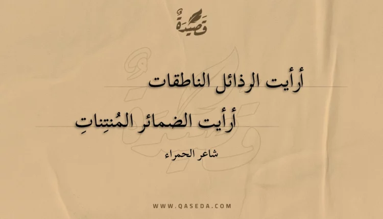 قصيدة أرأيت الرذائل الناطقات