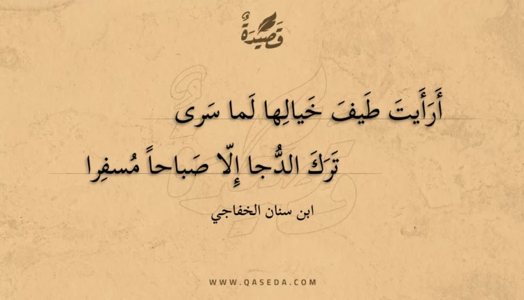 قصيدة أرأيت طيف خيالها لما سرى