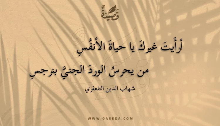 قصيدة أرأيت غيرك يا حياة الأنفس