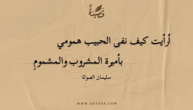 قصيدة أرأيت كيف نفى الحبيب همومي
