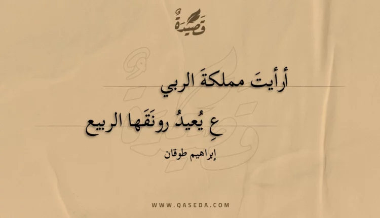 قصيدة أرأيت مملكة الربي