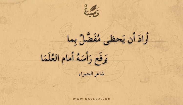 قصيدة أراد أن يحظى مفضل بما