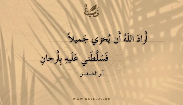 قصيدة أراد الله أن يخزي جميلا