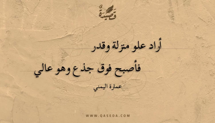 قصيدة أراد علو منزلة وقدر