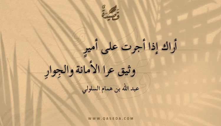 قصيدة أراك إذا أجرت على أمير