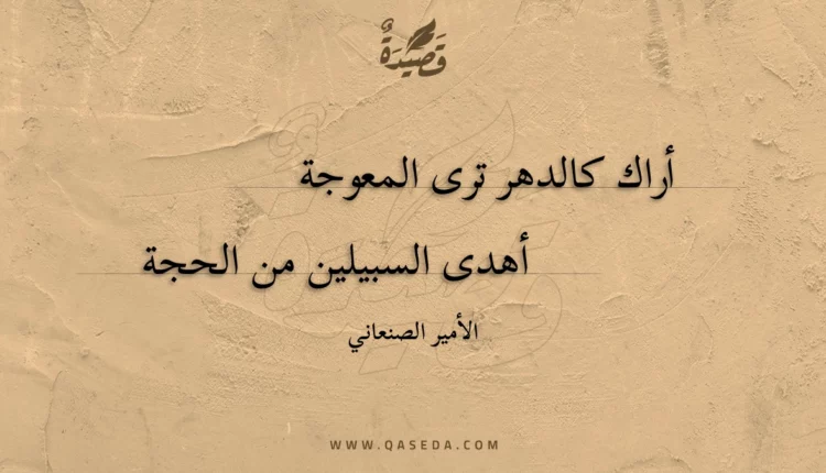 قصيدة أراك كالدهر ترى المعوجة
