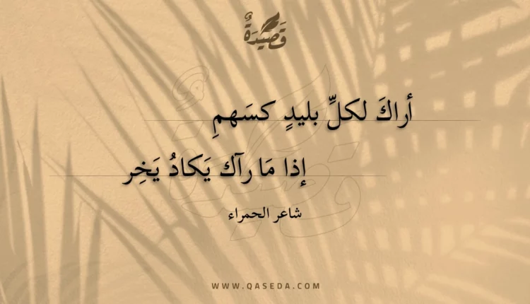 قصيدة أراك لكل بليد كسهم