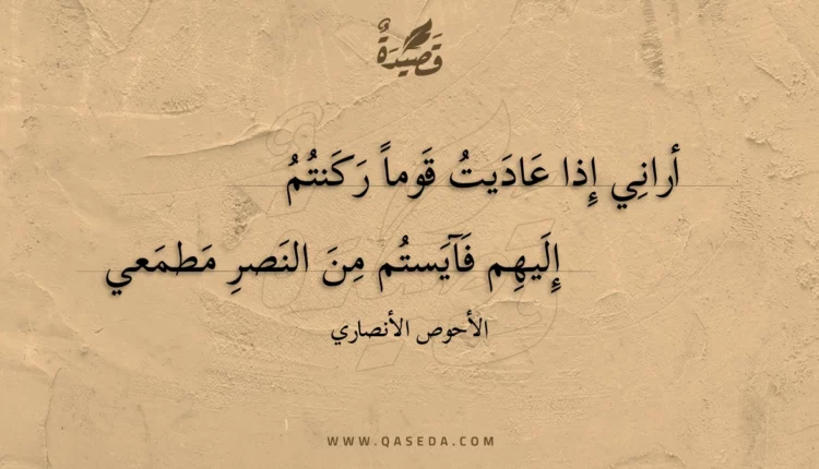 قصيدة أراني إذا عاديت قوما ركنتم