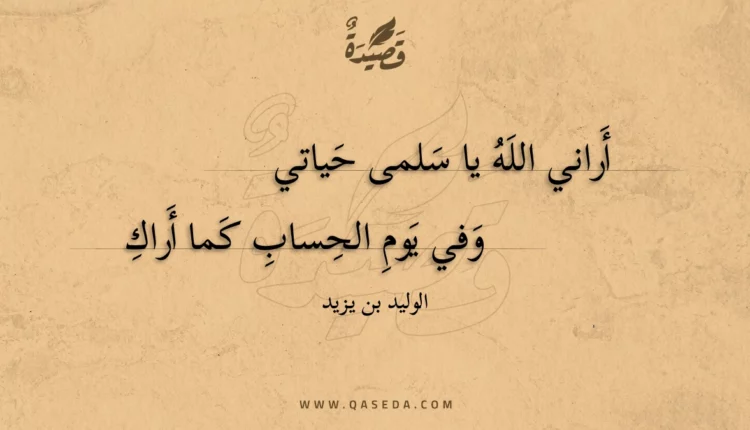 قصيدة أراني الله يا سلمى حياتي