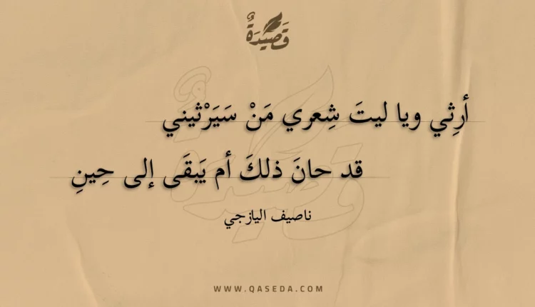 قصيدة أرثي ويا ليت شعري من سيرثيني