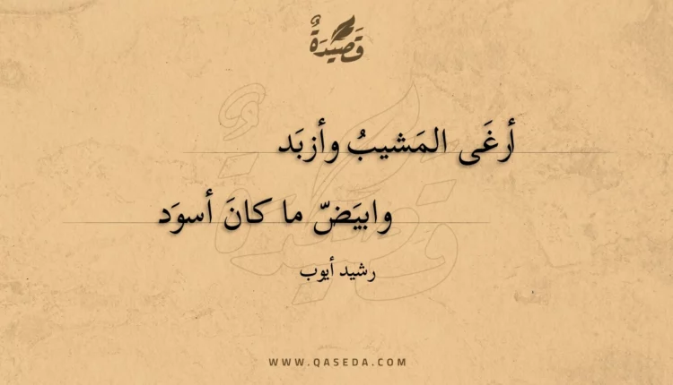 قصيدة أرغى المشيب وأزبد