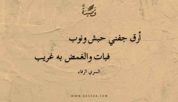 قصيدة أرق جفني حبش ونوب