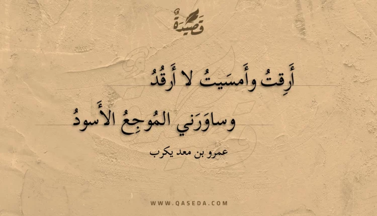 قصيدة أرقت وأمسيت لا أرقد
