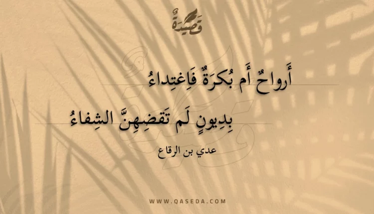 قصيدة أرواح أم بكرة فاغتداء