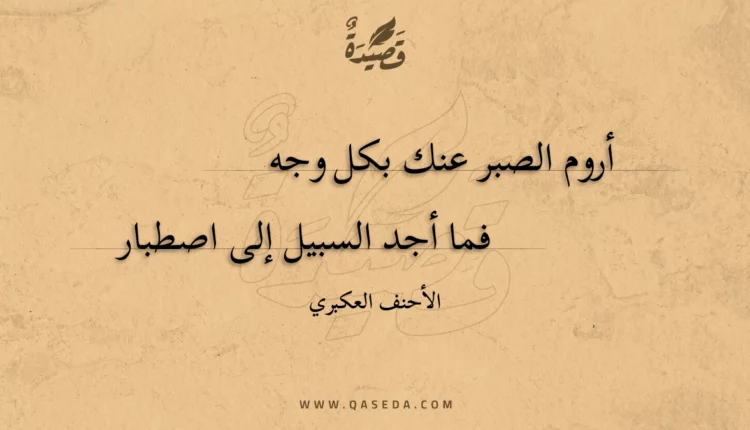 قصيدة أروم الصبر عنك بكل وجه