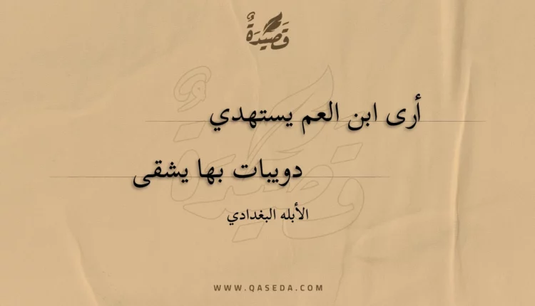 قصيدة أرى ابن العم يستهدي