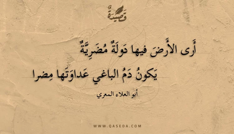 قصيدة أرى الأرض فيها دولة مضرية