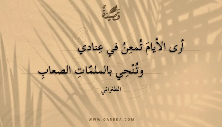 قصيدة أرى الأيام تمعن في عنادي